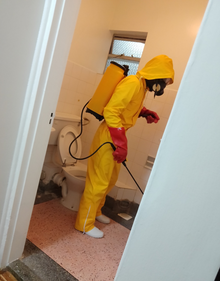 Fumigation $ Pest Controll